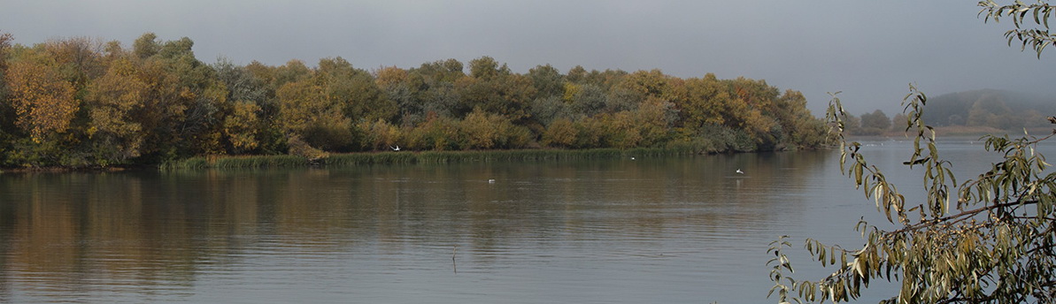 Подводная охота в низовье реки Волга